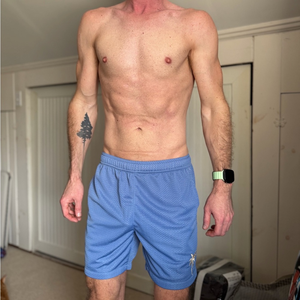 Marine Layer Perforated Blue Shorts